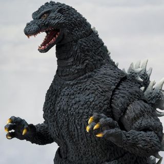 .com: TAMASHII NATIONS S.H.MonsterArts Godzilla Earth Action Figure :  Toys & Games