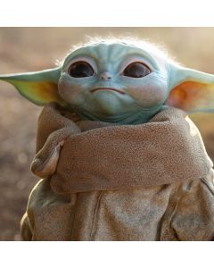 Amablemente referido por el público como 'Baby Yoda', el misterioso alienígena conocido como The Child se ha convertido rápidamente en el gran favorito de los fanáticos de Star Wars.