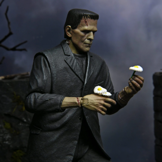 Frankenstein Universal Monsters Figura de Accion Neca Ultimate a Color 7 Pulgadas