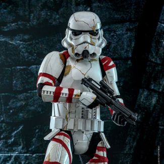 Hot Toys se complace en presentar la figura coleccionable de escala 1:6 del Night Trooper con una armadura distintiva para ampliar tu colección de Ahsoka. 