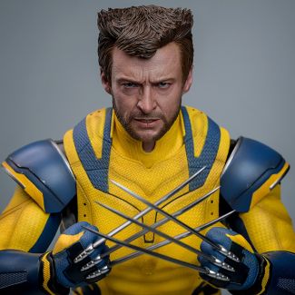 Sideshow  y Hot Toys  presentan la PRIMERA  figura de acción coleccionable  inspirada en la tan esperada película Deadpool & Wolverine , la figura de escala 1:6 de Wolverine Deluxe que da vida a la apariencia legendaria del mutante con sorprendente detall